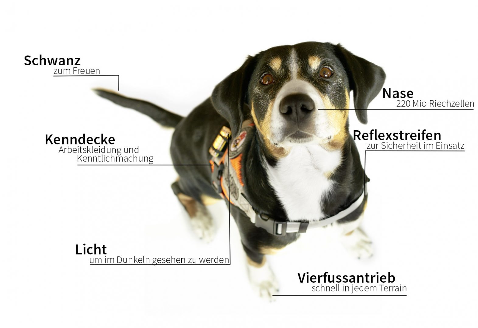 Ausrüstung